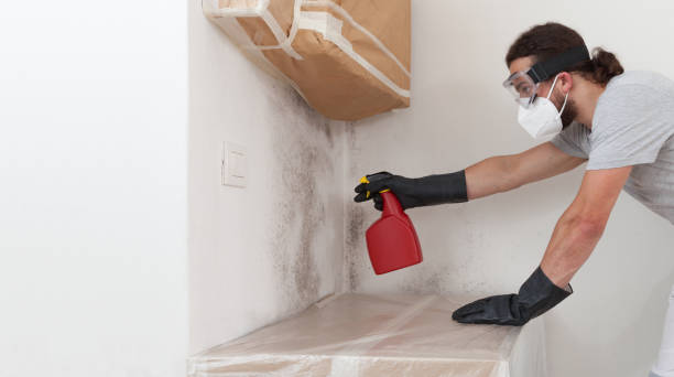 Professional Mold Removal technician working in Addison, TX
